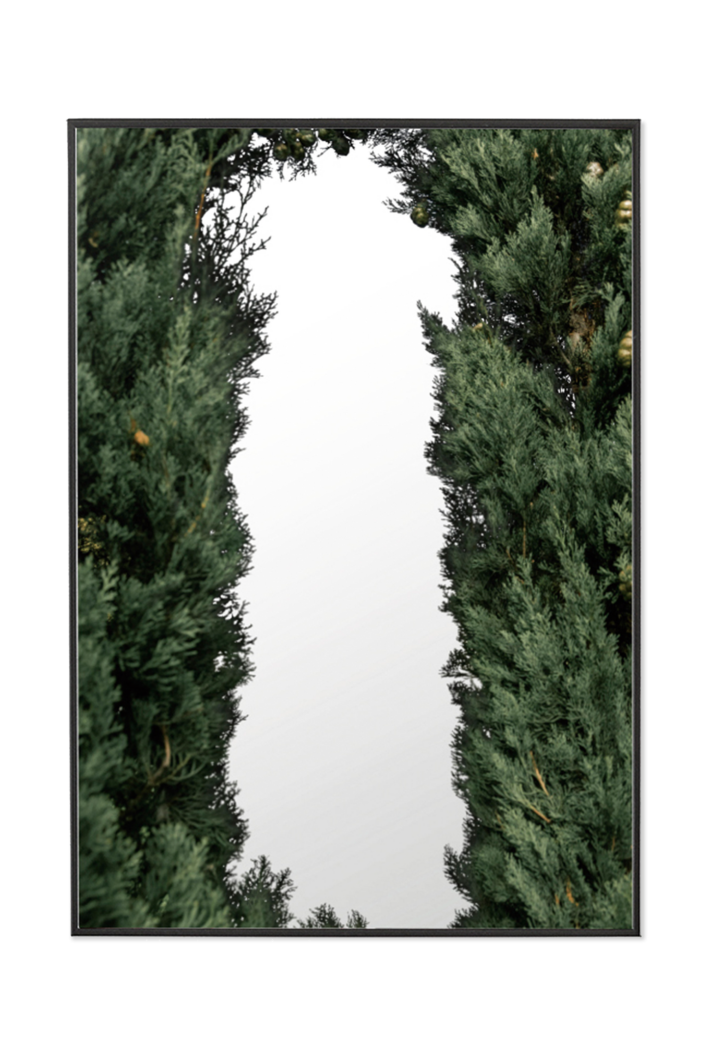 [poster mirror] forest.